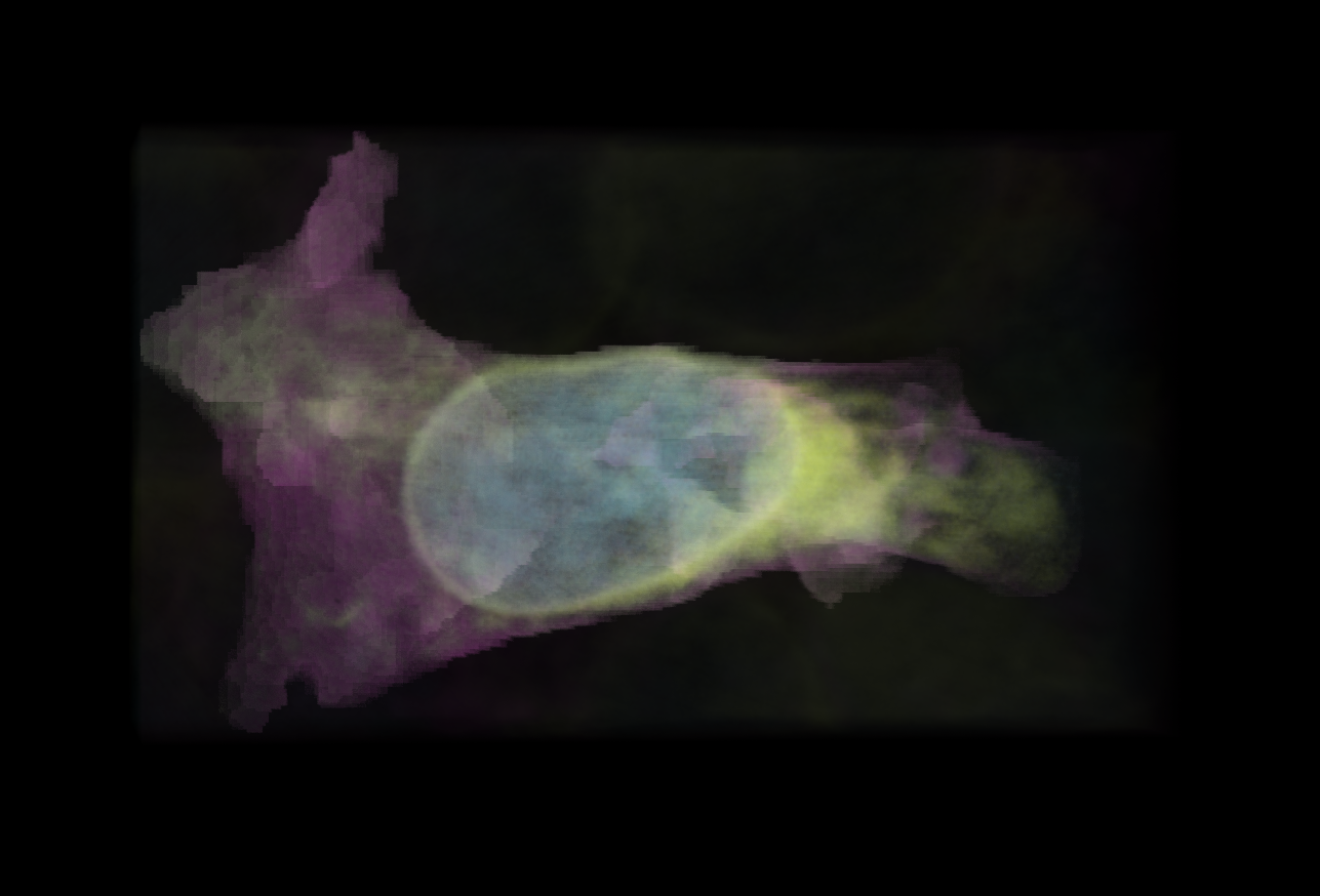 website image